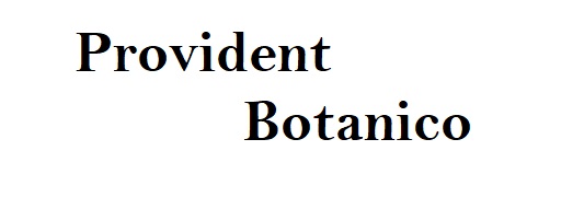 Provident Botanico Logo