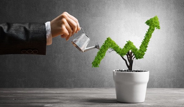 Provident Botanico Investment