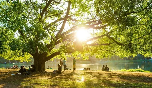 Green Spaces and Parks